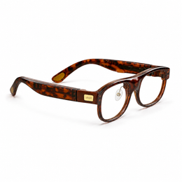 LEION HEARING — Tortoise Caption Glasses