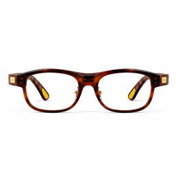 LEION HEARING — Tortoise Caption Glasses