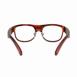 LEION HEARING — Tortoise Caption Glasses