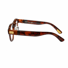 LEION HEARING — Tortoise Caption Glasses