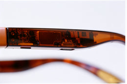 LEION HEARING — Tortoise Caption Glasses